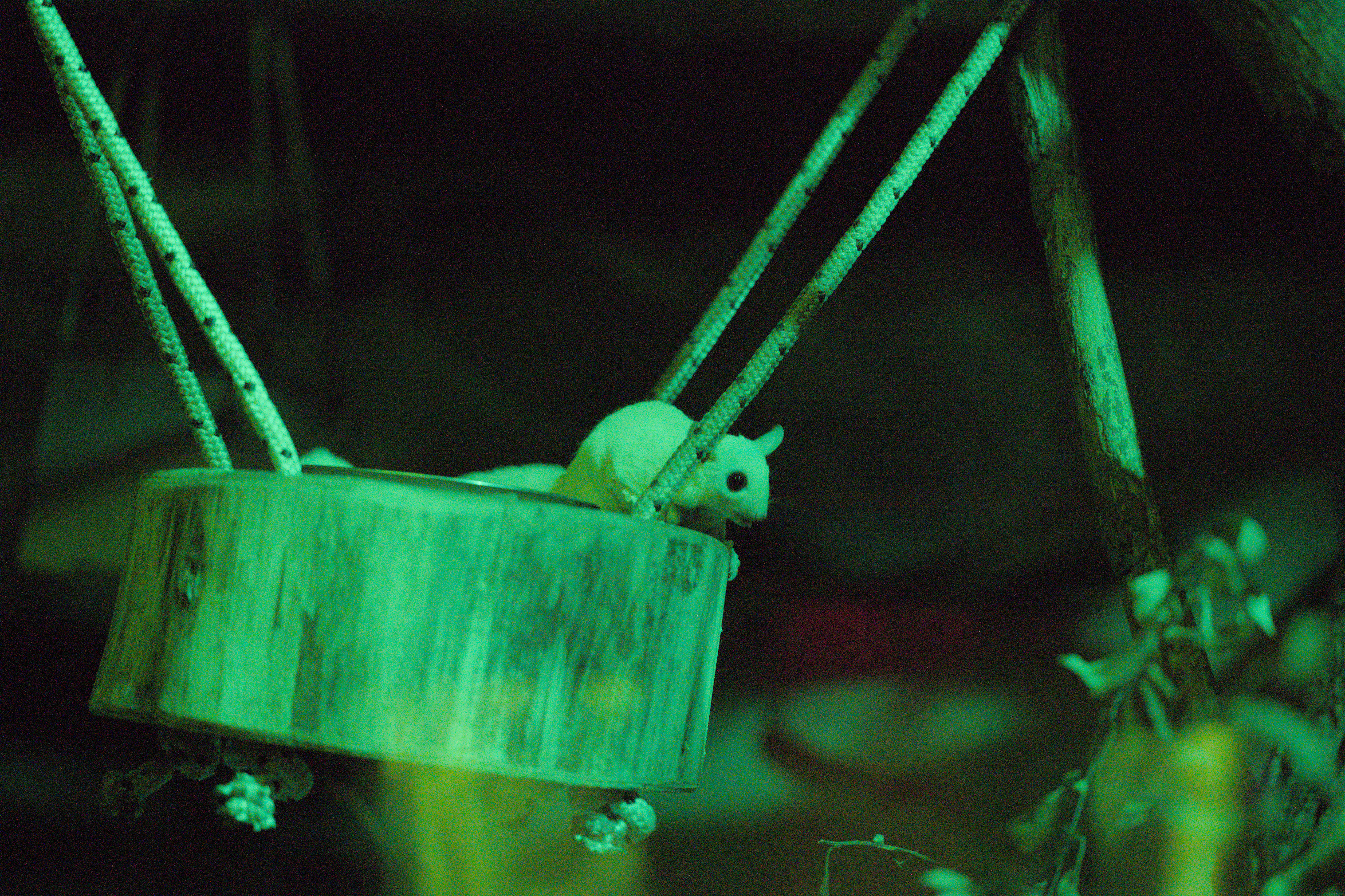 2025/10/12 - zoo/DSC_0262.jpg